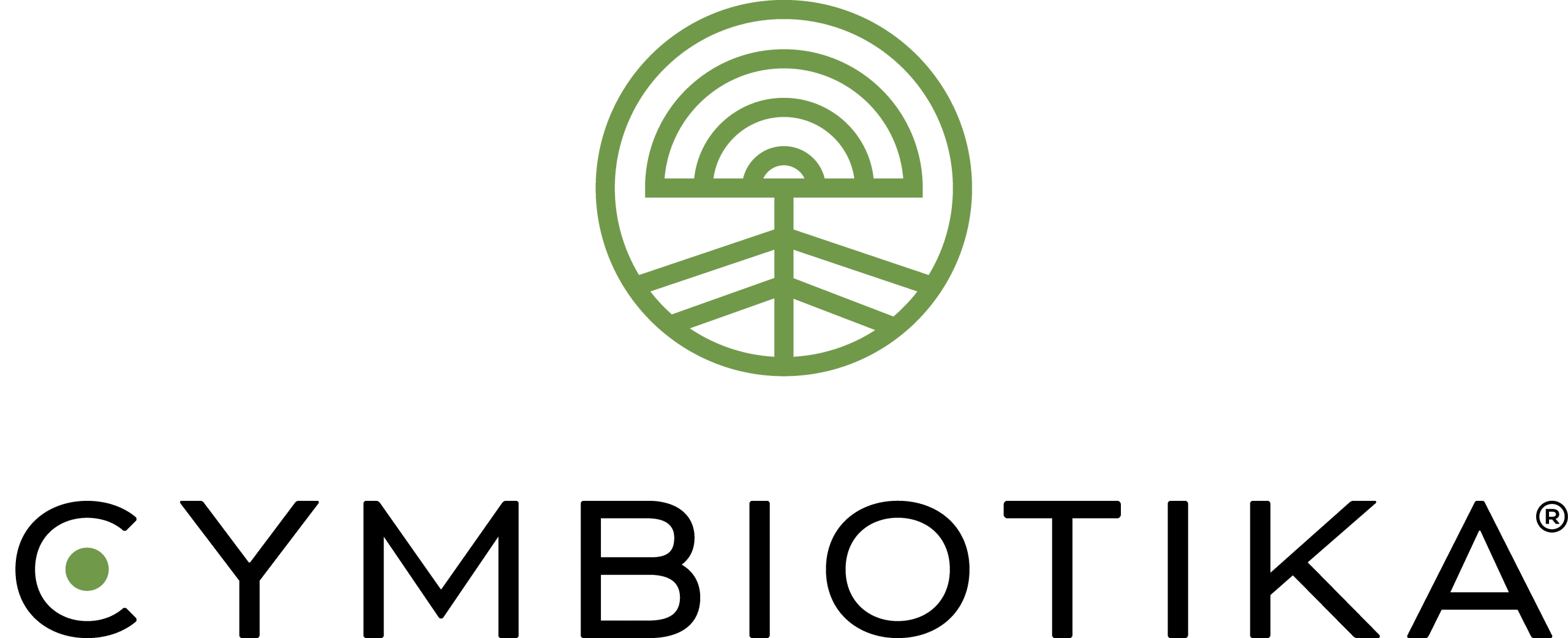 Logo featuring a green circular emblem with abstract geometric shapes above the text "L.Abc artesano" in lowercase black font.