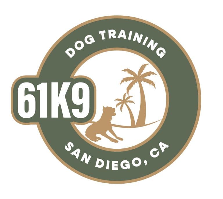 61K9 768x685